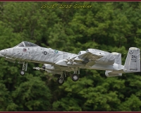 1GLOVELIER 0545